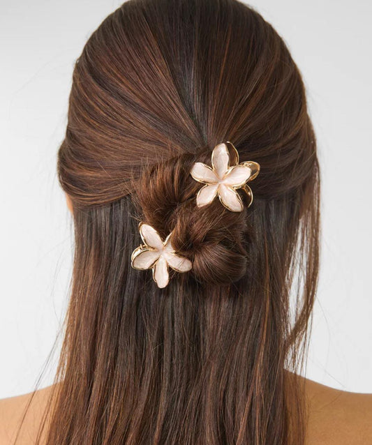 3pc/ Set Hair Clip Claw
